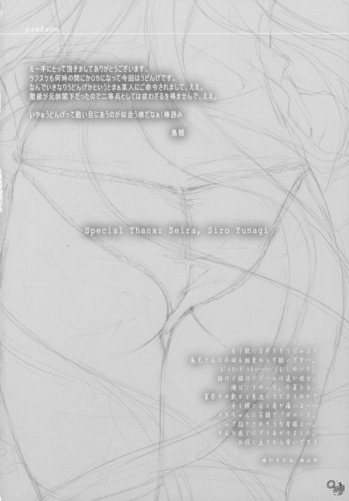 (C78) [Kinetoscope] Kinetoscope Rough Sketch 05 (Touhou Project) (C78) (同人誌) [キネトスコープ] Kinetoscope Rough Sketch 05 (東方)