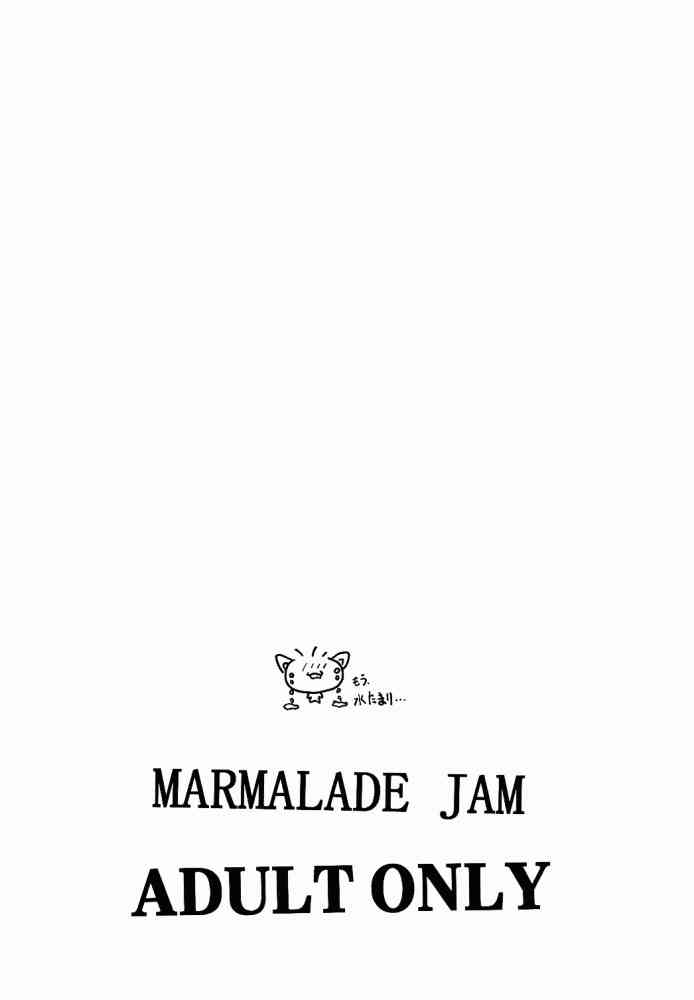 [Majimadou] Marmalade Jam (Street Fighter) 