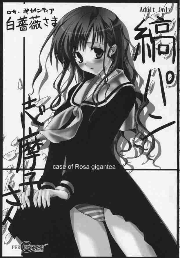 (C65) [Perceptron] Rosa gigantea MILK (Maria-sama ga Miteru) (C65) [ぱーせぷとろん] 白薔薇ミルク (マリア様がみてる)
