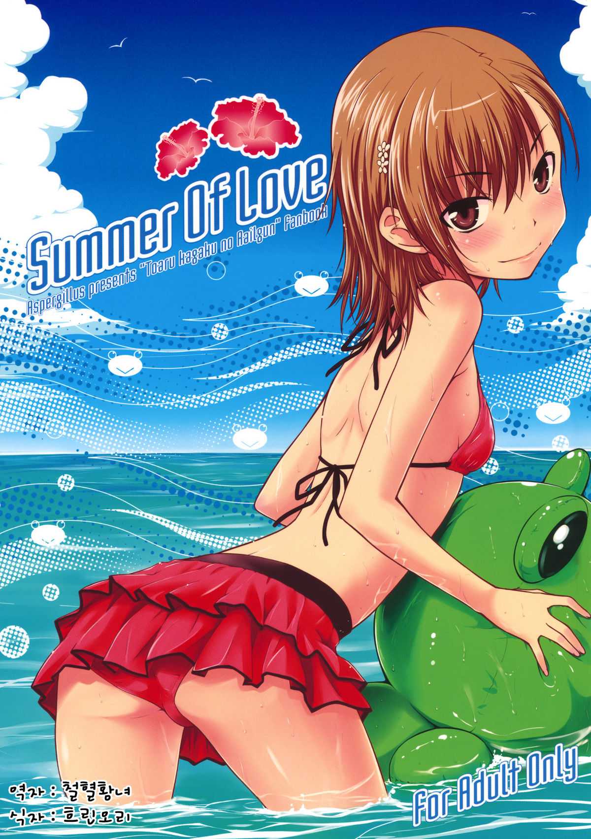 (C80) [Aspergillus (Okara)] Summer Of Love (Toaru Majutsu no Index) (korean) (C80) [Aspergillus (おから)] Summer Of Love (とある魔術の禁書目録) [韓国翻訳]