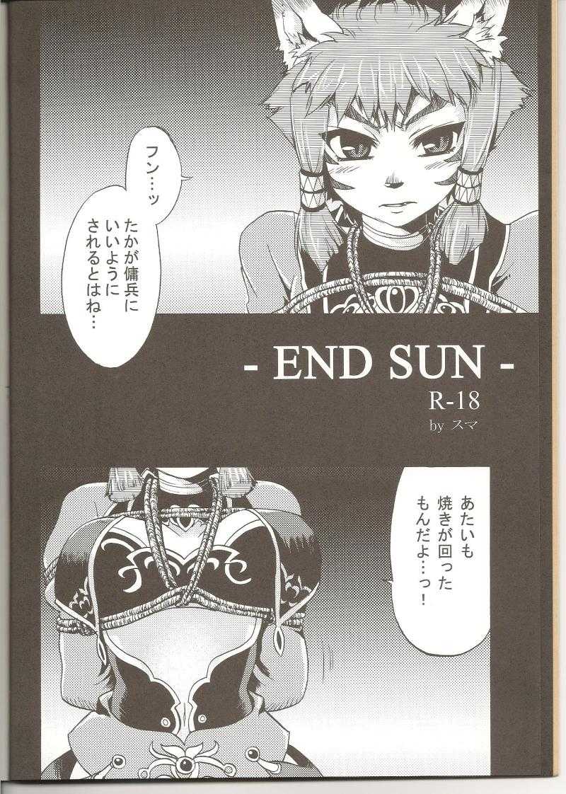 (C75) [PINK VENUS] END SUN (Final Fantasy XI) (C75) [PINKVENUS] END SUN (ファイナルファンタジーXI)