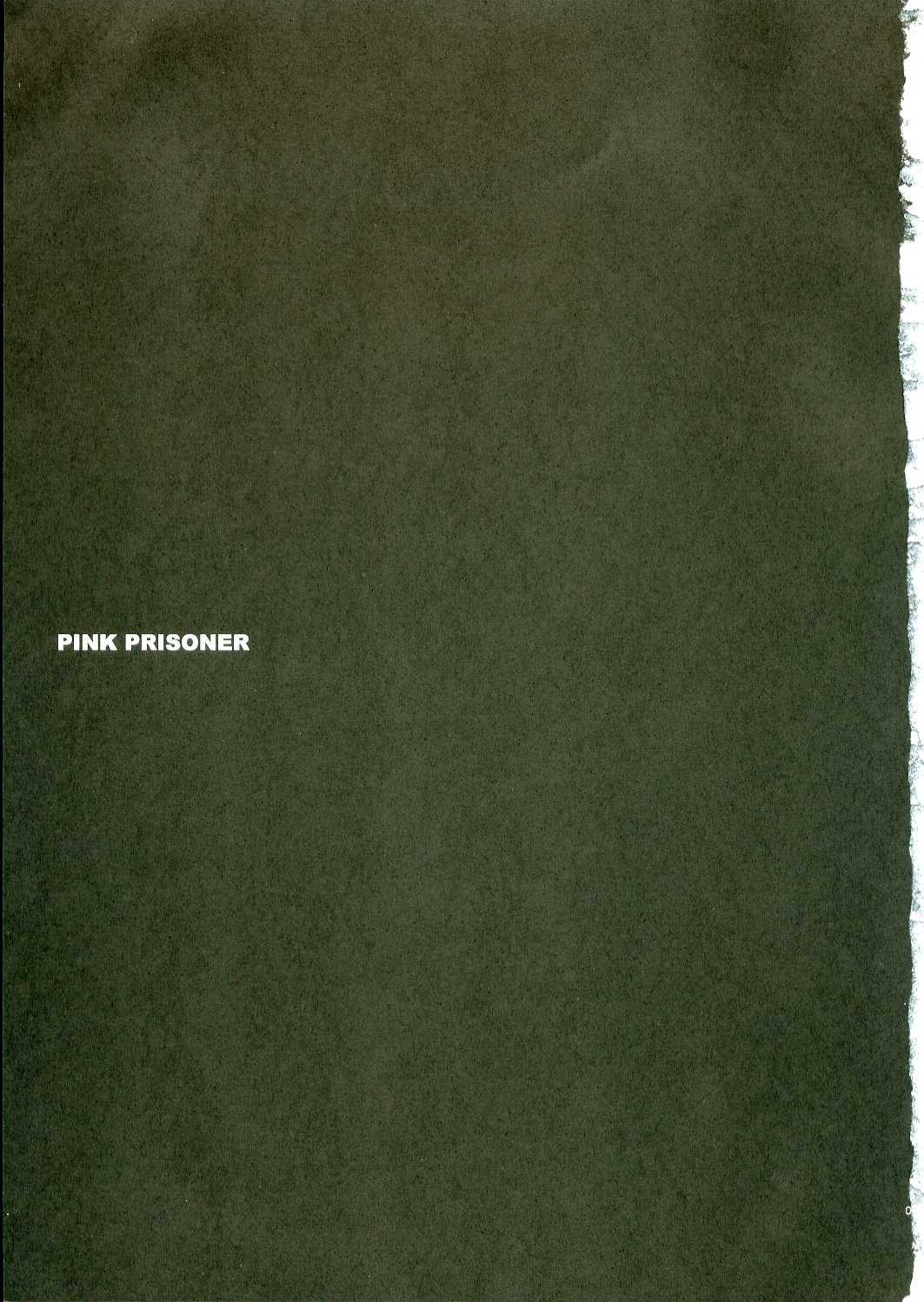 (CR37) [YLANG-YLANG (Ichie Ryoko)] PINK PRISONER (D.Gray-man) [イランイラン (一恵りょうこ)] PINK PRISONER (ディー・グレイマン)